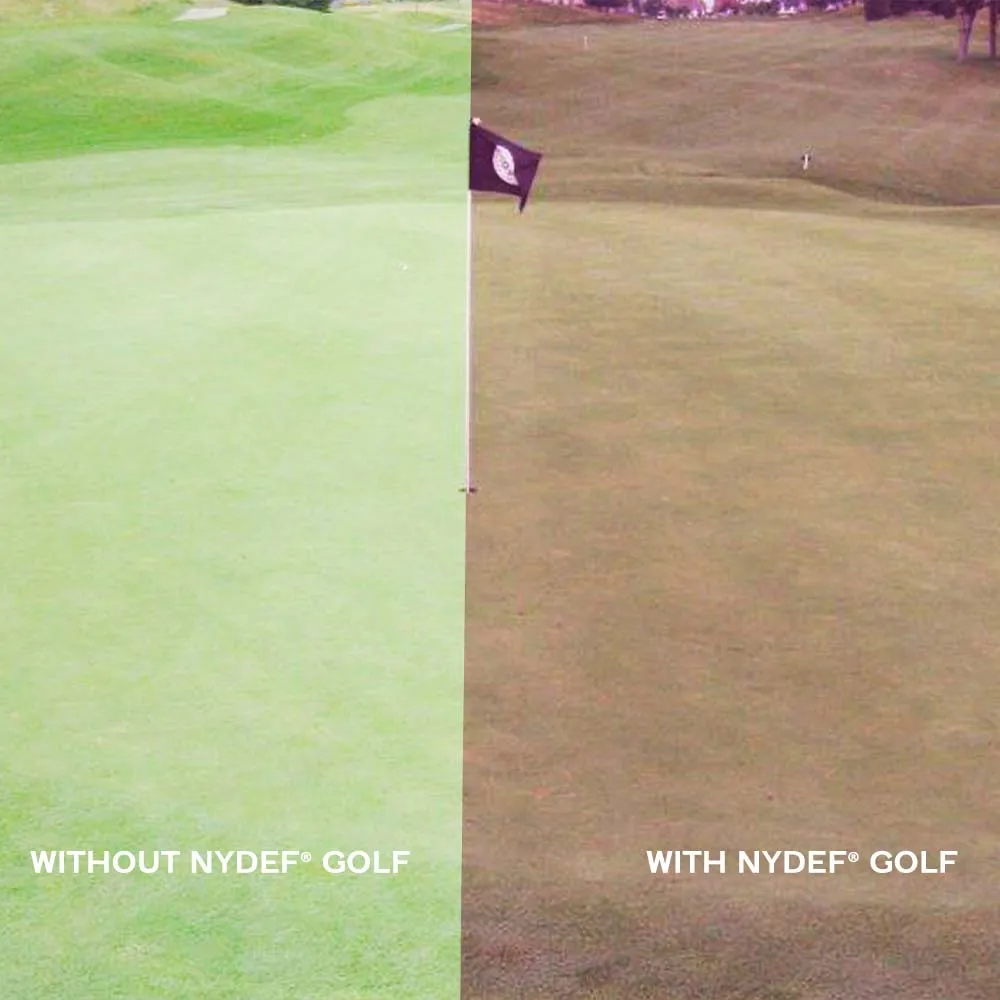 NYDEF® GOLF | POPART | Purple
