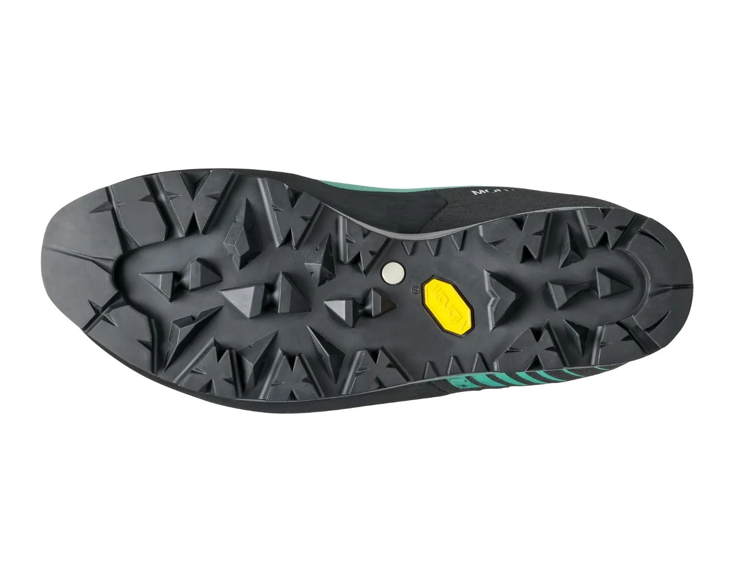Women Mont Blanc Pro GTX